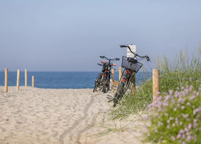 Ferienwohnung Sanddorn Direkt Hinter Den Duenen